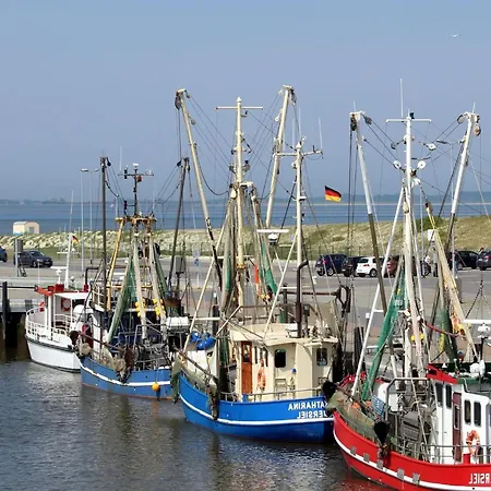 Wattperlchen, Dornum