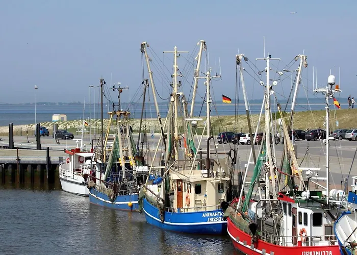 Wattperlchen In Dornum